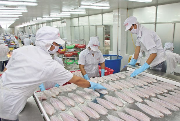 AGD dự kiến rời sàn vào tháng 10
